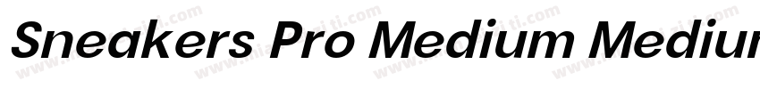 Sneakers Pro Medium Medium字体转换